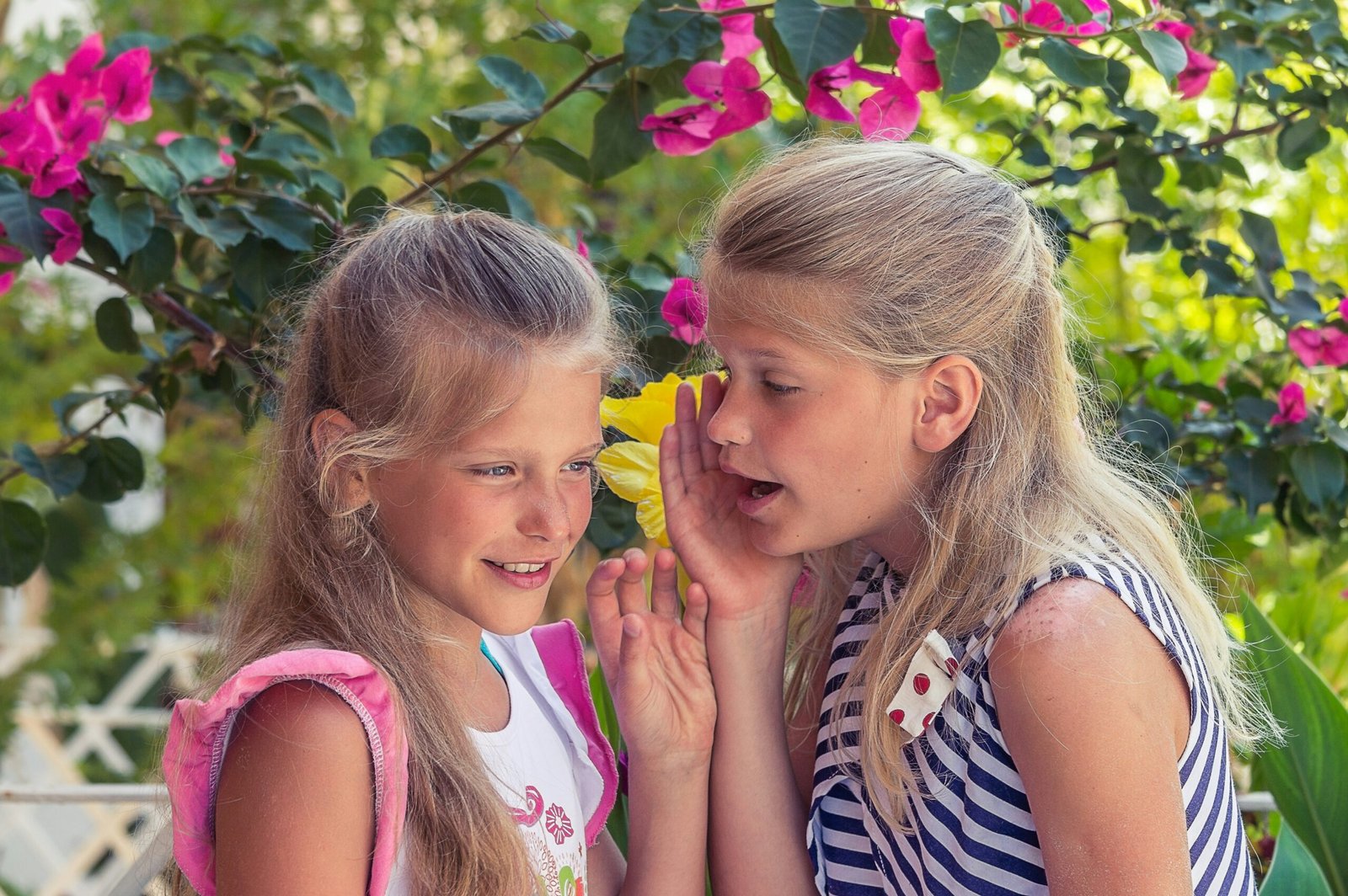 girl in white and black stripe tank top beside girl in pink tank top